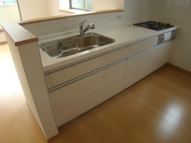 Kitchen. Indoor (12 May 2013) Shooting