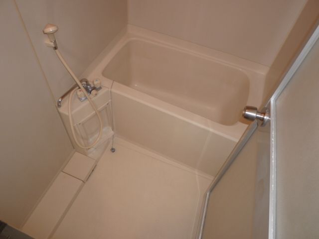 Bath. Beautiful bathroom