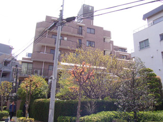 Building appearance. appearance