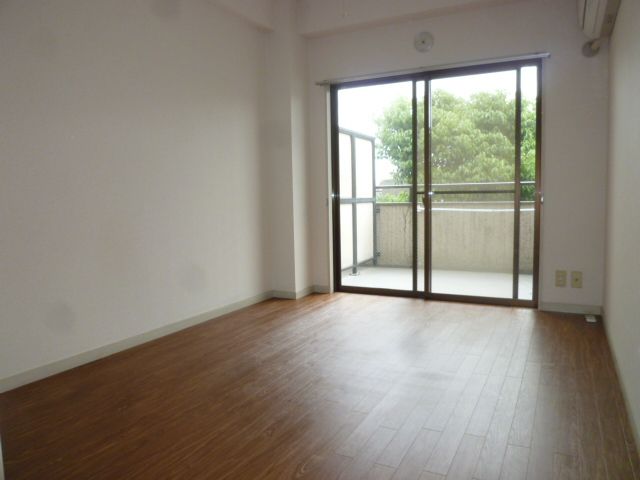 Living and room. Room with morning sun is plug in the east