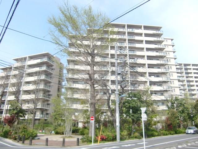 Local appearance photo. July 2013 shooting