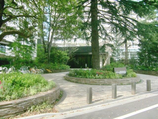 Local appearance photo. July 2013 shooting