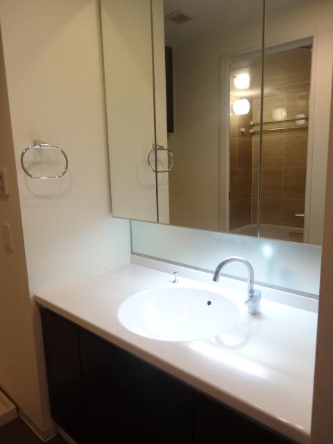 Wash basin, toilet. July 2013 shooting