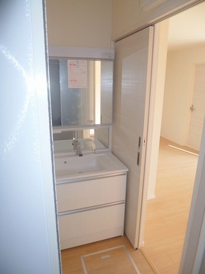 Washroom. Shower Dresser