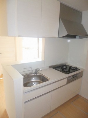 Kitchen. 3-neck system kitchen (flooring Dark Brown)