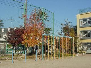 Primary school. Horinouchi to elementary school 259m