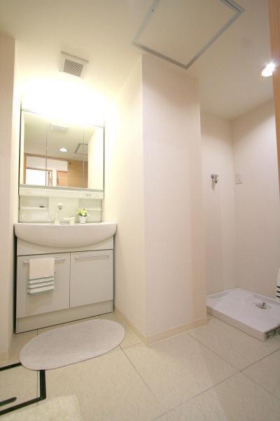Wash basin, toilet