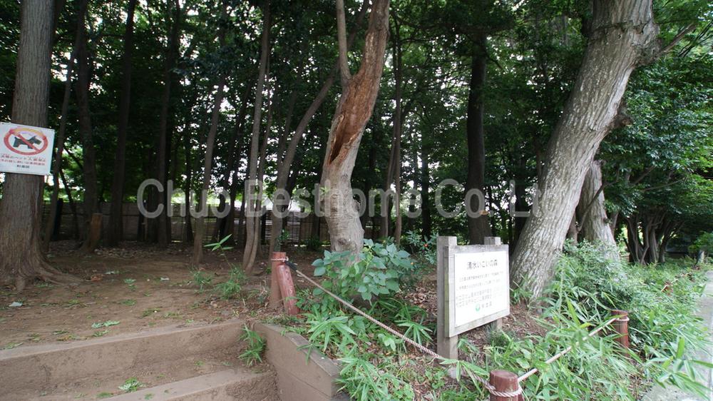 Other. Forest of rest Shimizu