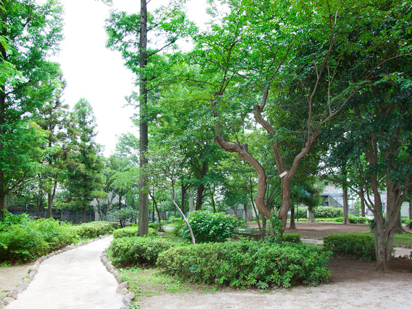 Surrounding environment. Takaidonishi park (about 160m / In addition to the 2-minute walk) ball game field, Log cabin, Sandpit, Slide, Branch type Blanco, Complete with dead wood type climbing trees.