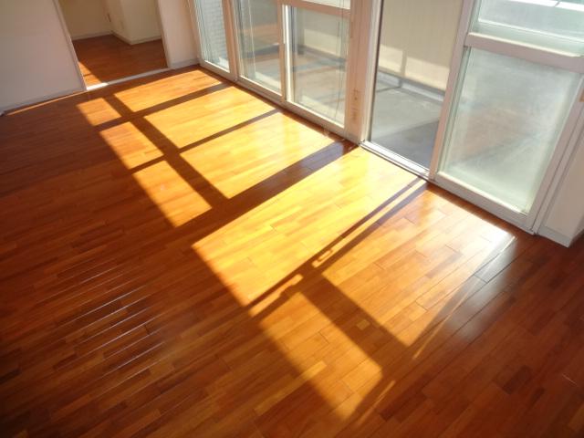 Living. South-facing sun per Shanshan living dining