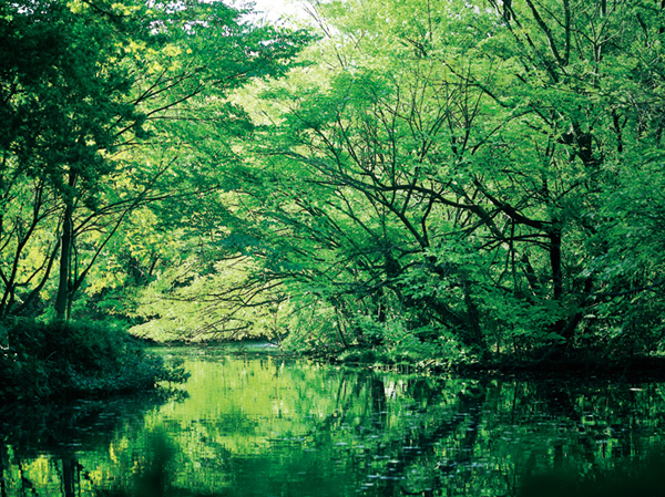 Surrounding environment. Wada moat park (about 500m / 7-minute walk)