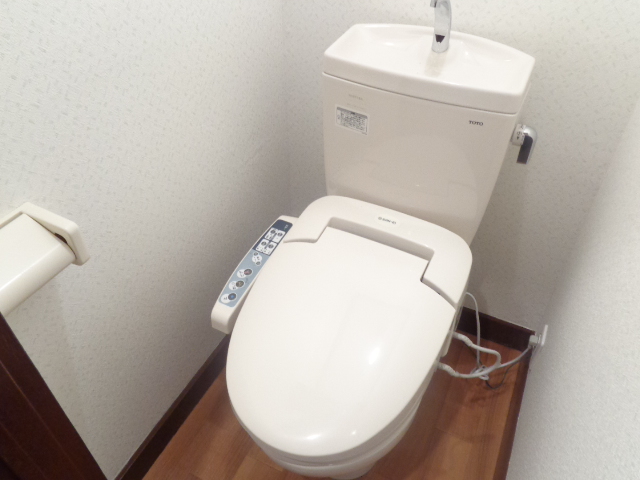 Other. Bidet with toilet!