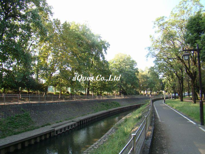 park. Zenpukuji River 300m to parkland