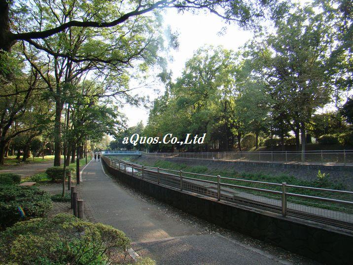 park. Zenpukuji River 300m to parkland