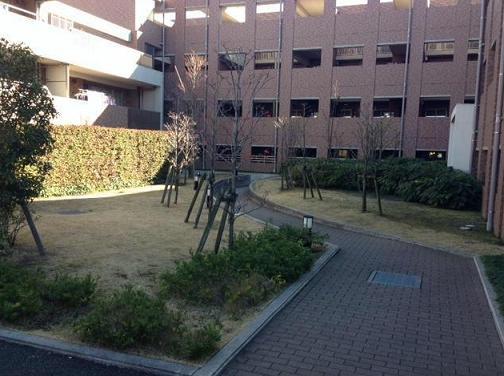 Other common areas. Common areas