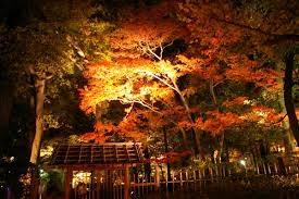 park. 481m until Otaguro park