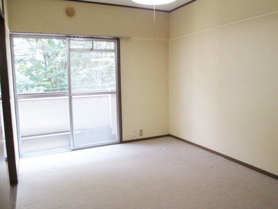 Other room space. Bright Western-style