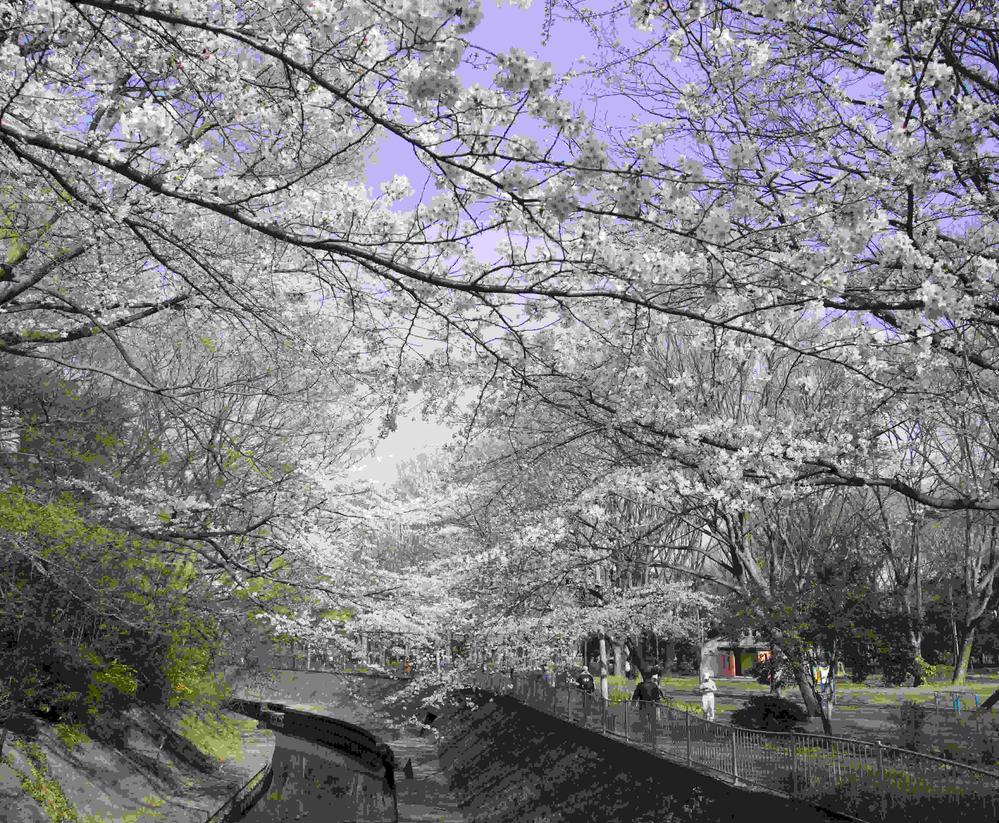 park. 820m to Metropolitan Wada moat park ※ Walk a fraction of the articles and is calculated in 1 minute = 80m. ※ Surrounding environment photo of me is what was taken in April 2013.