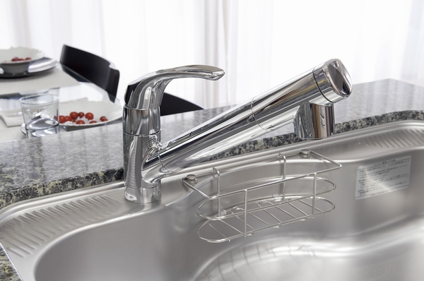 Water purifier integrated shower faucet