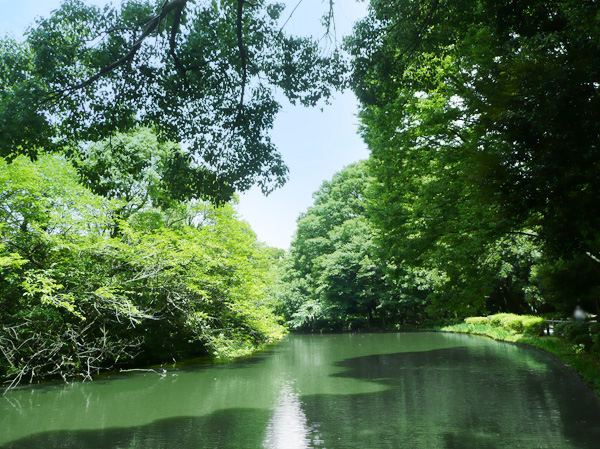 Surrounding environment. Wada moat park (5-minute walk / About 380m)