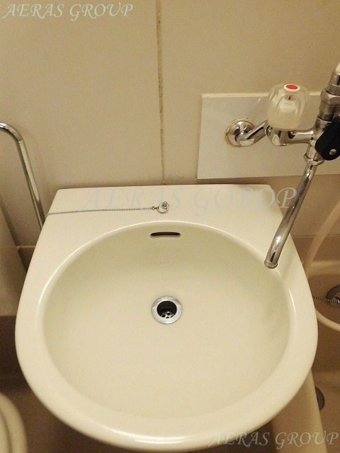 Washroom. Wash basin