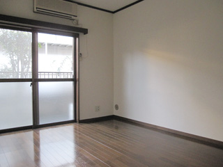 Living and room. Living