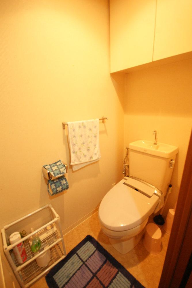 Toilet. It will bidet with toilet. Also it comes with storage