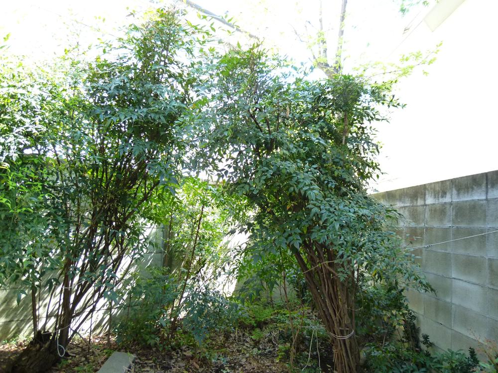 Local land photo. On-site south (April 2013) Shooting