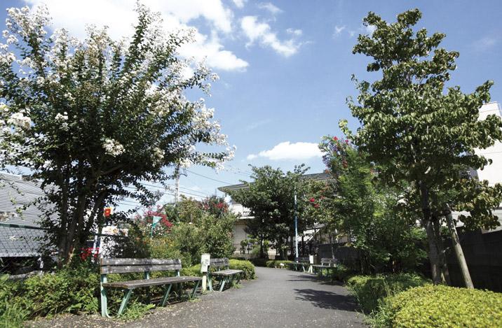 Other Environmental Photo. 590m to rush River promenade