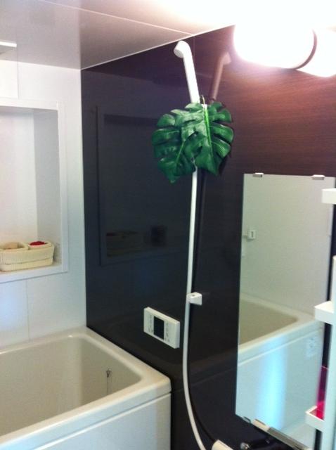 Bathroom. Indoor (12 May 2013) Shooting