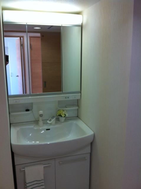 Wash basin, toilet. Indoor (12 May 2013) Shooting