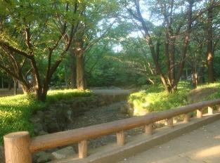 park. 338m to rush Forest Park