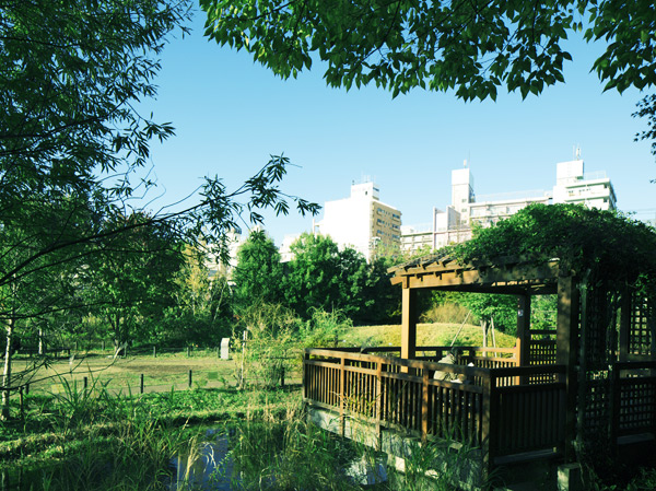 Surrounding environment. Reading of Forest Park (about 190m / A 3-minute walk)