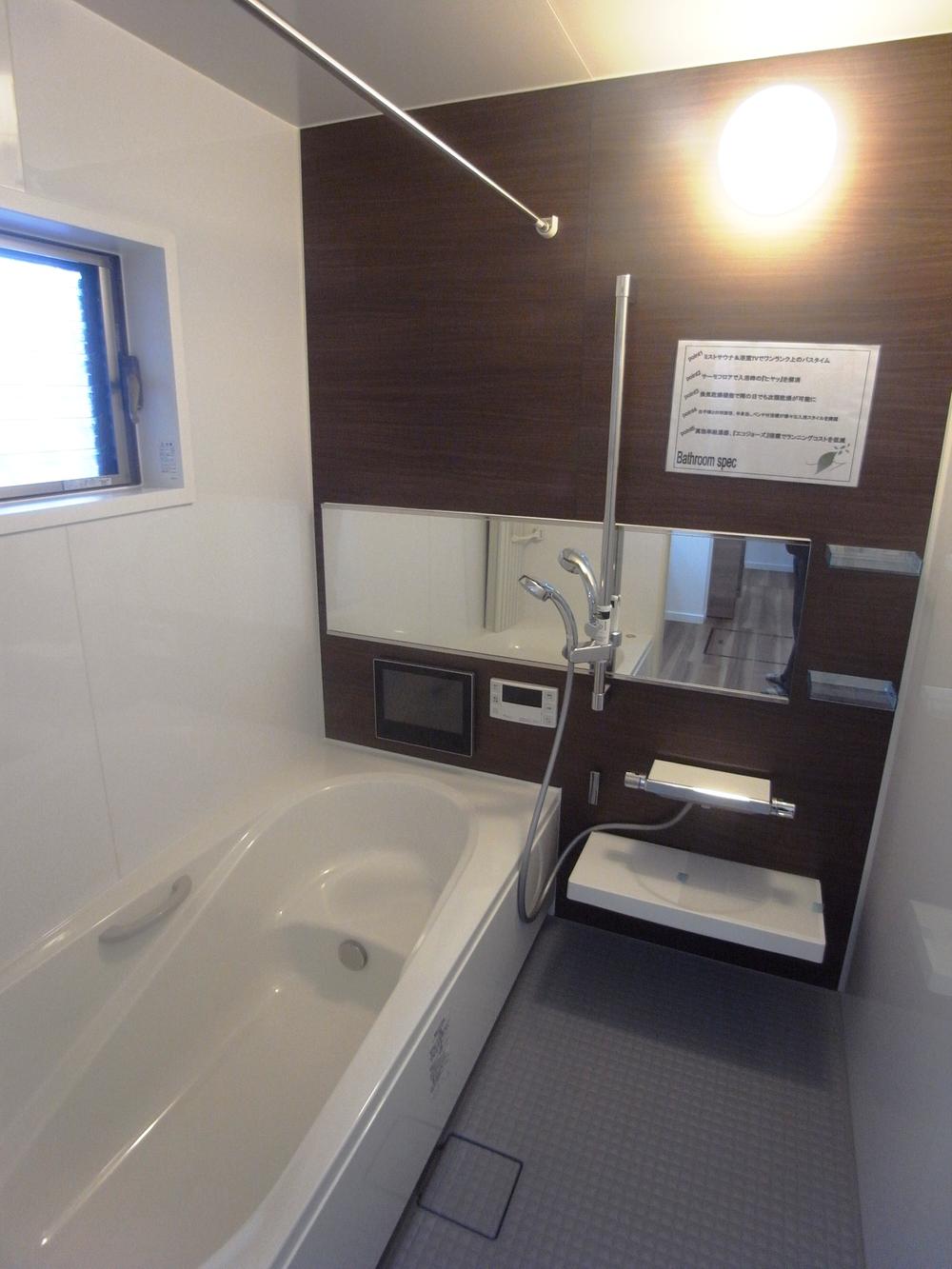 Bathroom. Indoor (11 May 2013) Shooting