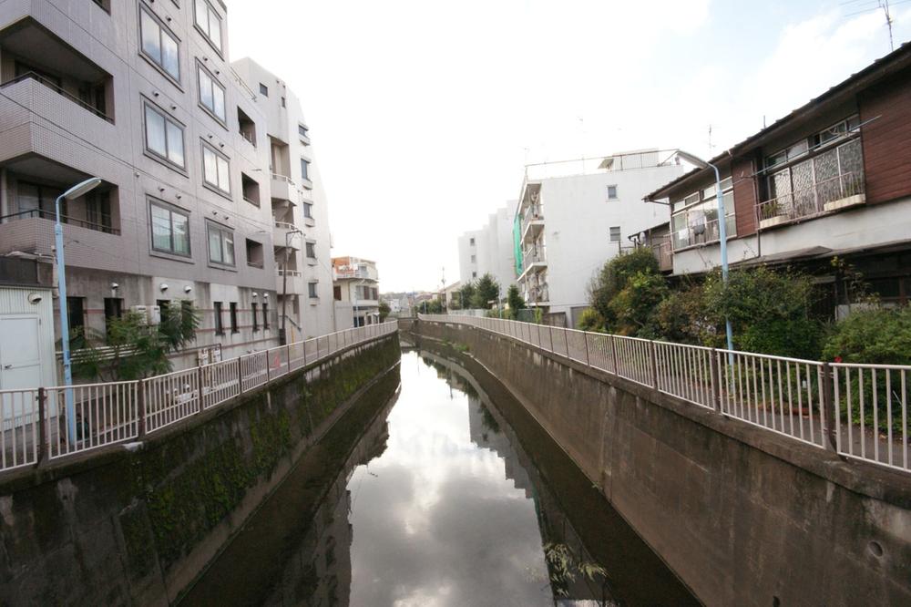 Other. Zenpukuji River