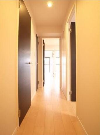 Other introspection. Corridor