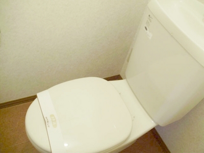 Toilet. ◆ Warm water cleaning toilet seat with toilet ◆