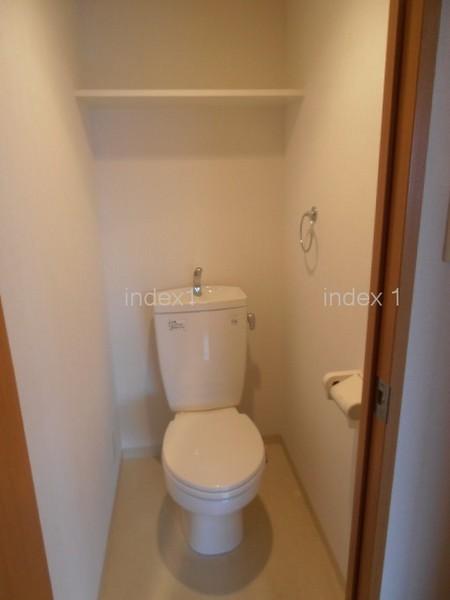 Toilet. Housed firmly with toilet