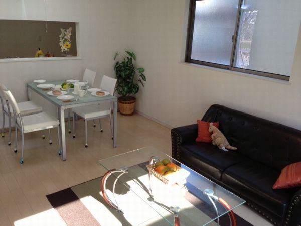 Living. Enforcement example photo