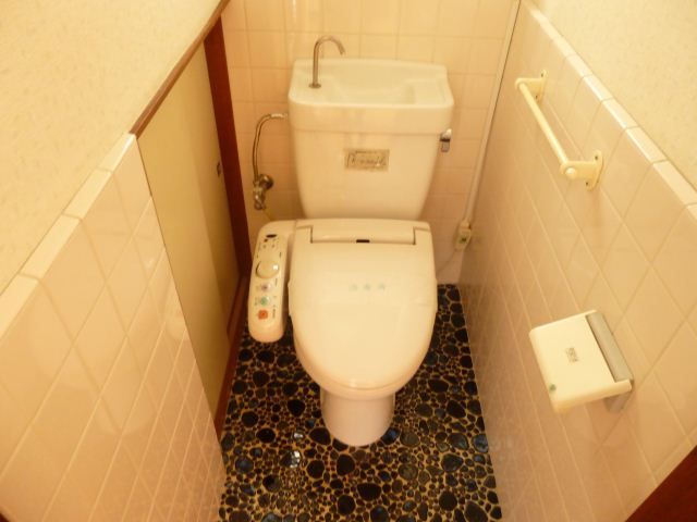 Toilet. Warm water washing toilet seat