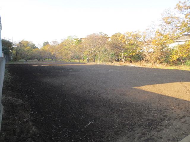 Local appearance photo. December 6 shooting