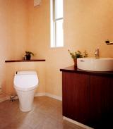 Toilet. Example of construction