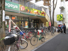 Supermarket. Inageya to (super) 1400m