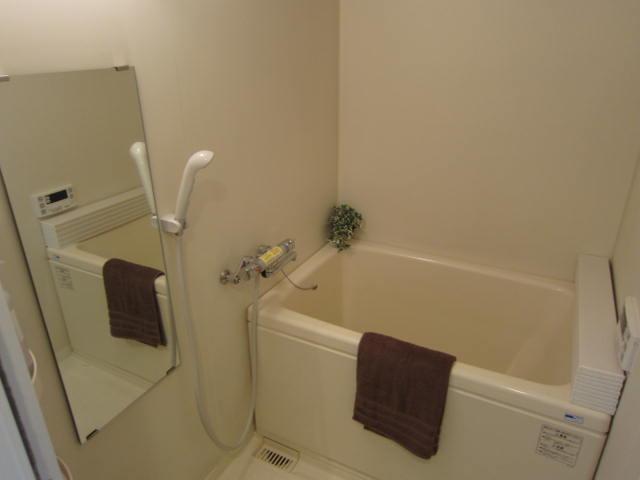 Bathroom. Indoor (12 May 2013) Shooting