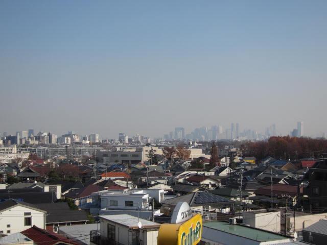 View photos from the dwelling unit. View from the site (December 2013) Shooting