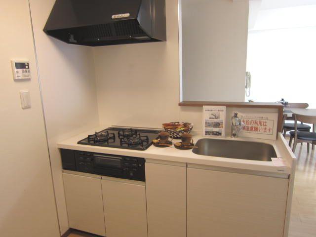 Kitchen. Indoor (12 May 2013) Shooting