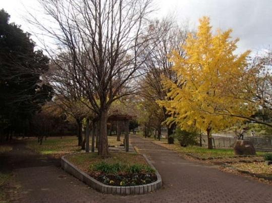 park. 240m until Zenpukuji river park