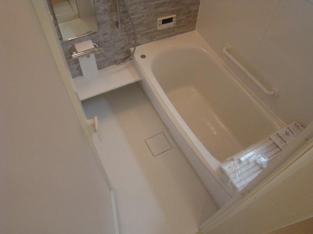 Bathroom. Indoor (10 May 2013) Shooting