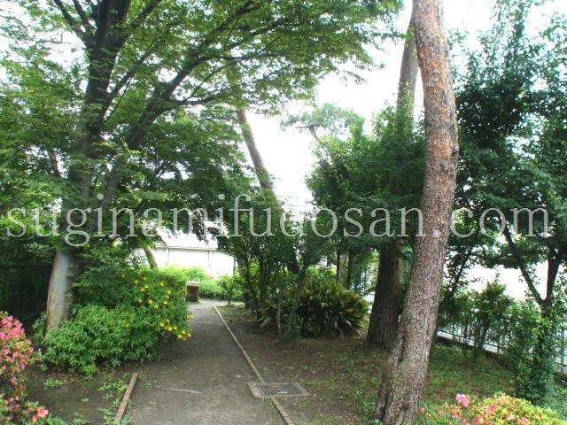 park. Shoan pine cones to green space 776m