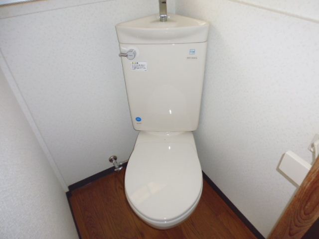 Toilet. It has been cleaned in the water around the beautiful